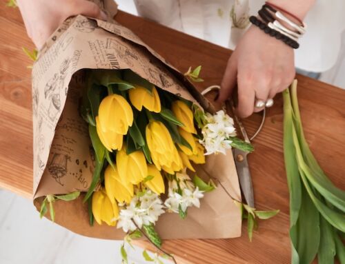 Weekend Picks – April 3rd