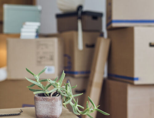 Guide to Moving Day in the Neighborhood