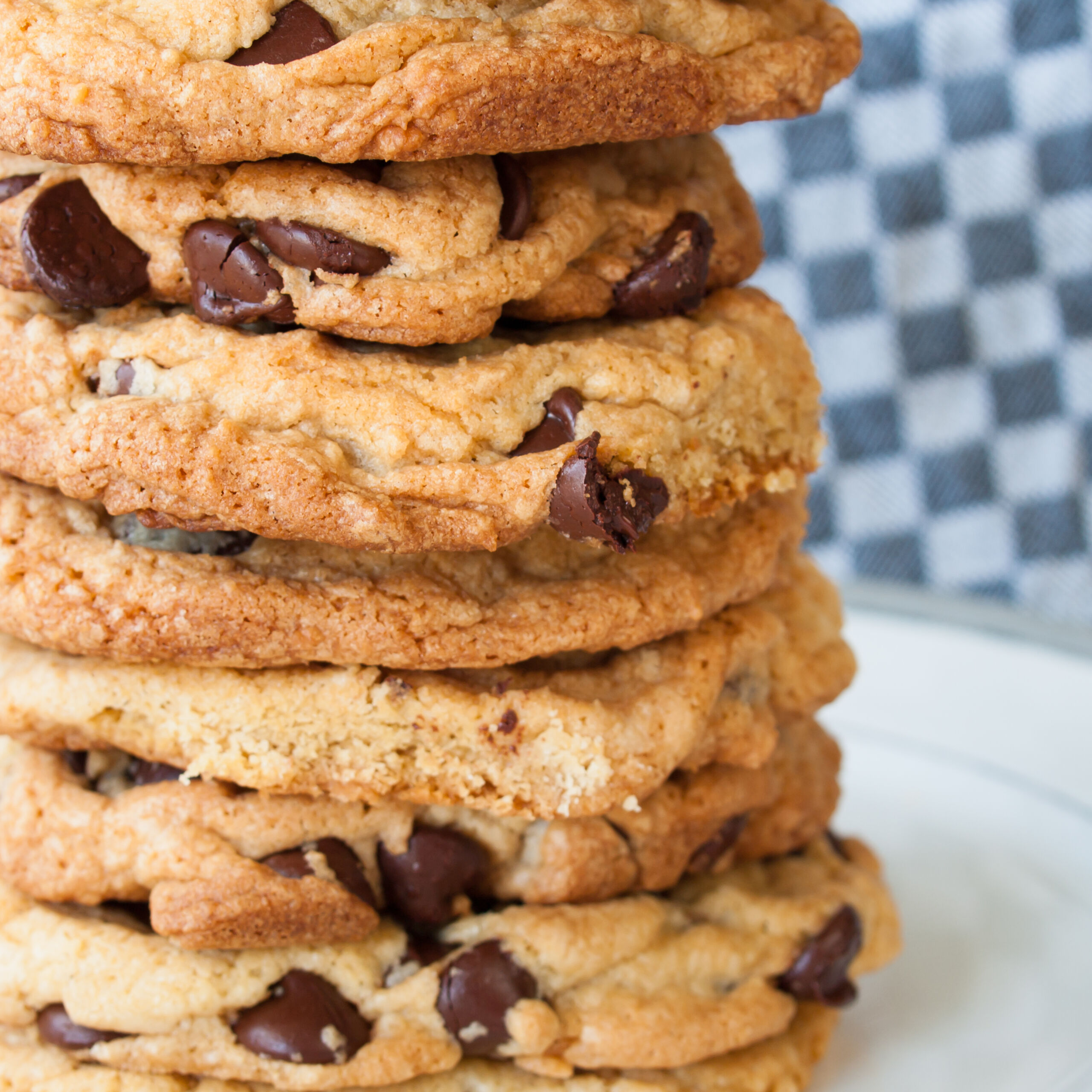 Celebrate National Chocolate Chip Cookie Day with a Free Cookie! Celebrate National Chocolate Chip Cookie Day with a Free Cookie!
