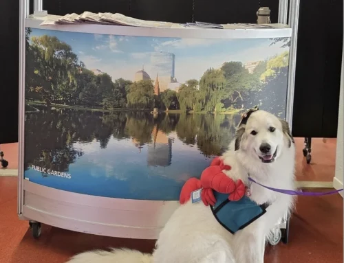 Massport Sets Sail with Therapy Dog Program at Flynn Cruiseport Boston