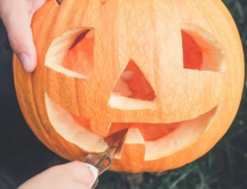 Family-Friendly Pumpkin Carving at Lincoln Tavern